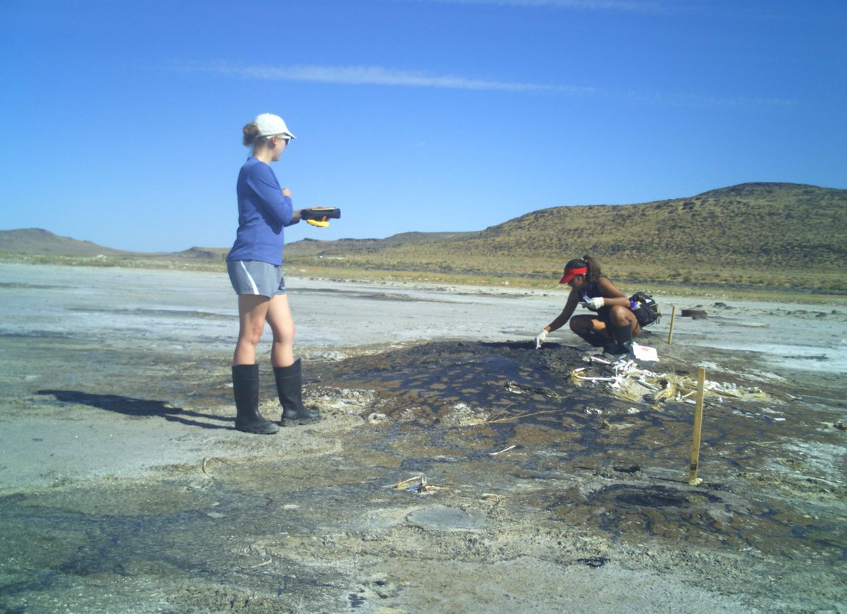 Westminster University tweet media