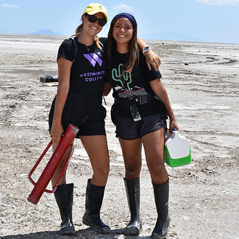 Westminster University tweet media