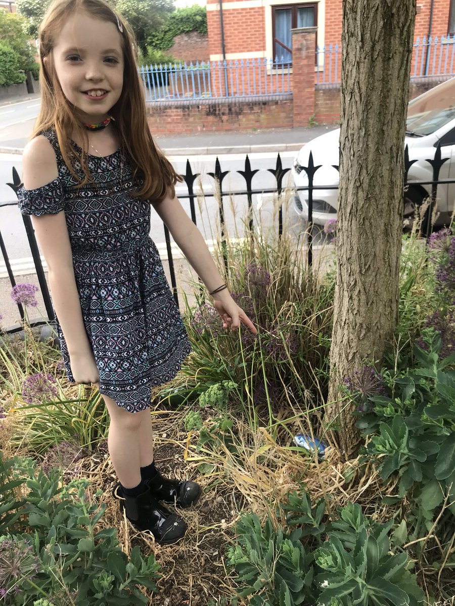 DavisHennymusic's tweet photo. @ourladyqop Francesca having fun finding all the lovely painted stones!... https://t.co/CBcF7N8dnU
