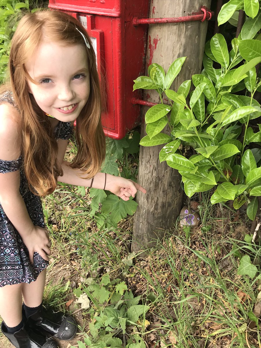 DavisHennymusic's tweet photo. @ourladyqop Francesca having fun finding all the lovely painted stones!... https://t.co/CBcF7N8dnU