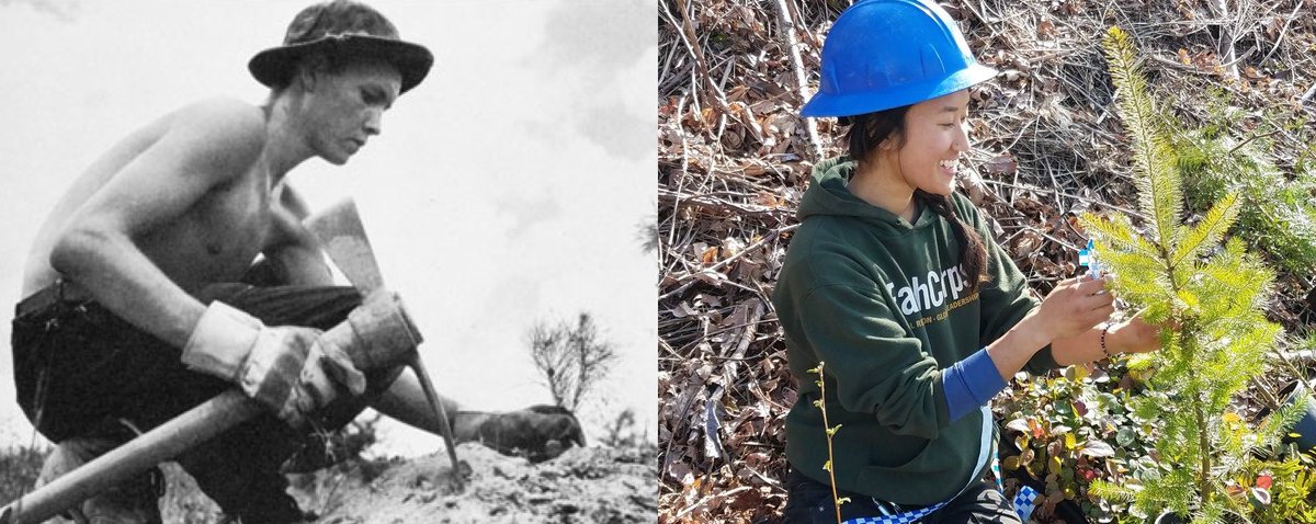 TheCorpsNetwork's tweet photo. @Collin_OMara @nytopinion We agree: a modern version of the CCC could address multiple challenges. Here are our recommendations for how to build upon the existing network of 130+ Service and Conservation Corps across the U.S. #CorpsWork #21CCC
https://t.co/cNJqHNlS4C https://t.co/8lQ5sb2cDZ