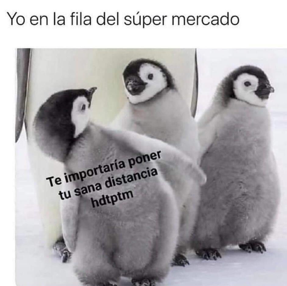 korno's tweet photo. Sí la apliqué un par de veces 😂😂😂 https://t.co/UYhHjURNSI