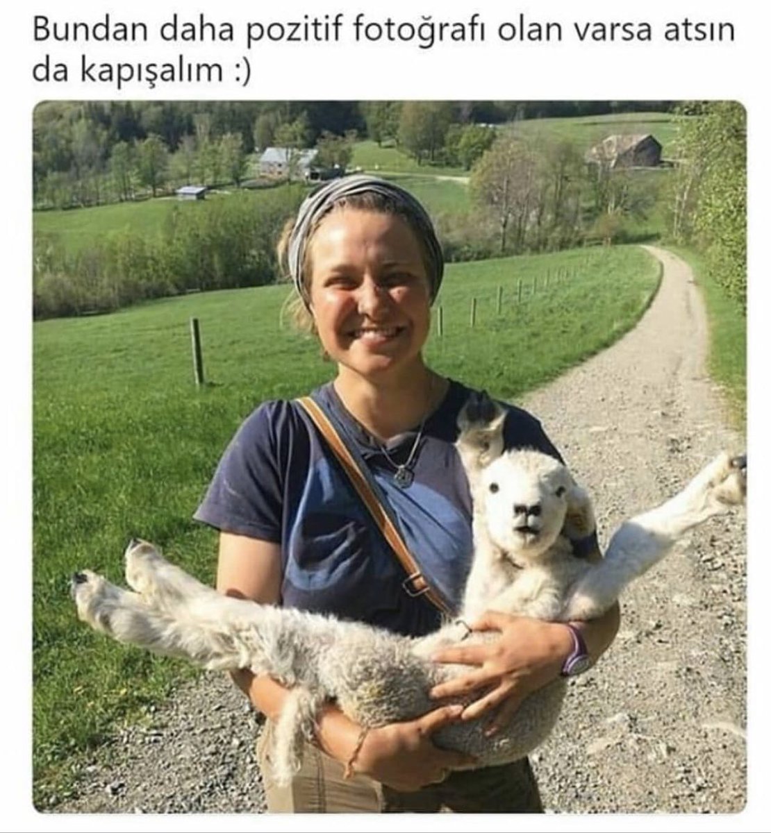 OzlemKpcoglu's tweet photo. Yiyorsa  buyrun benim yemedi  , yoo olduğundan DEĞİL hiç böle pozitif resimleri yoo 😹😜😂  bizimkilerin hep kavga şey halleri var 🙈😹 https://t.co/0YU3lcchXB