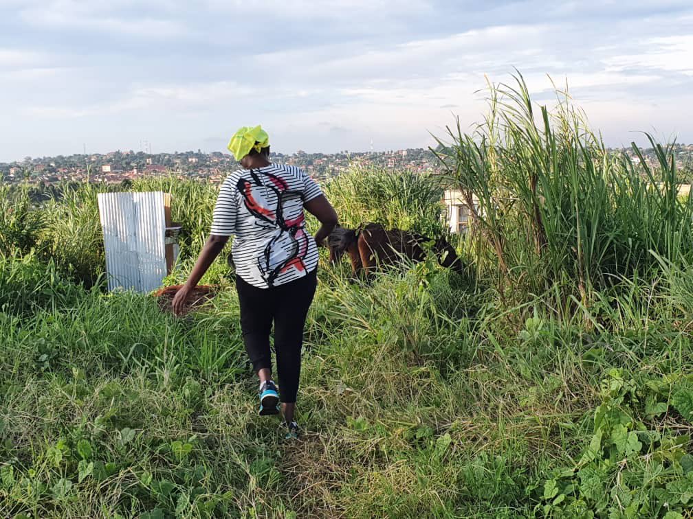 MargaretMuhanga's tweet photo. Having reared 🐄 &amp; 🐐 for too long, I’ve decided to diversify, I have since moved on to horses. I hope this will enable me buy the White House and it’s occupants ⁦@AndrewMwenda⁩⁦@FrankTumwebazek⁩ ⁦@OfwonoOpondo⁩ ⁦@OgwangOgwang⁩ https://t.co/Gd2pVOHMUI