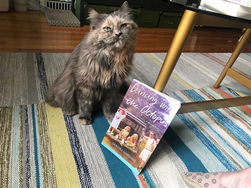 BloomsburyPub's tweet image. Looking forward to reading DANCING WITH THE OCTOPUS by @DeboraHarding? This cat got her paws on an advanced copy and gave it a rave review! #AtHomeWithBloombury