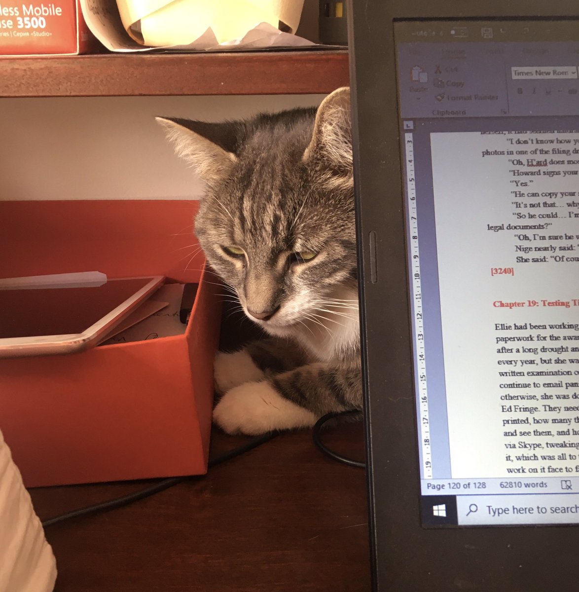 FranTurner52's tweet photo. Just a little heads up that the first draft of ‘Make, Do and Mend’ is complete and the novel is now being edited. https://t.co/87mkJmuUNF