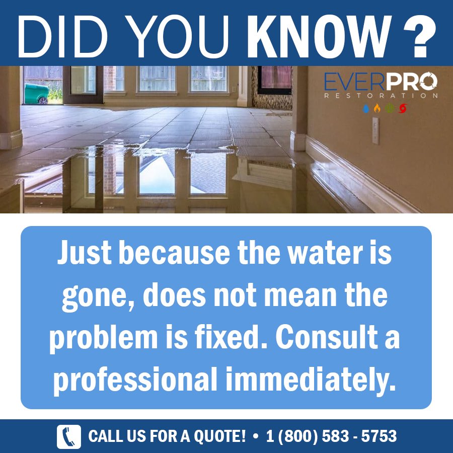 everprosofla's tweet photo. Many homeowners assume that the issue is fixed if the water is dried out. While the water evaporates in the area, moisture will accumulate in the walls, ceiling, and even the floor below, promoting mold growth.💧🦠 #EverProRestoration https://t.co/CgVZIIH0HN