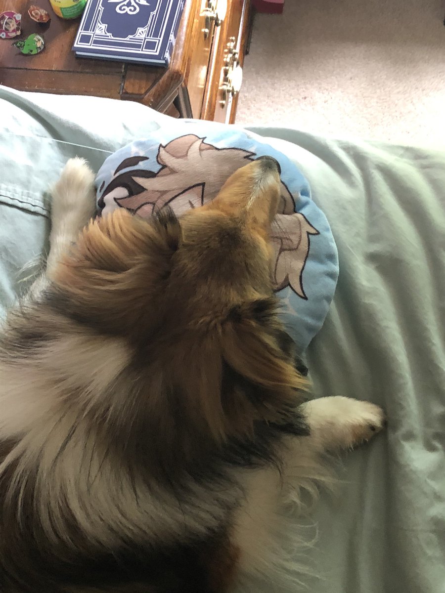 Callie is asleep on Elliot pillow