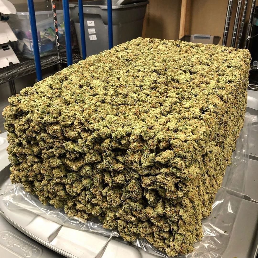 weedthotss's tweet photo. 🤯🤯🤯🤯 https://t.co/ZKuhqytmh9