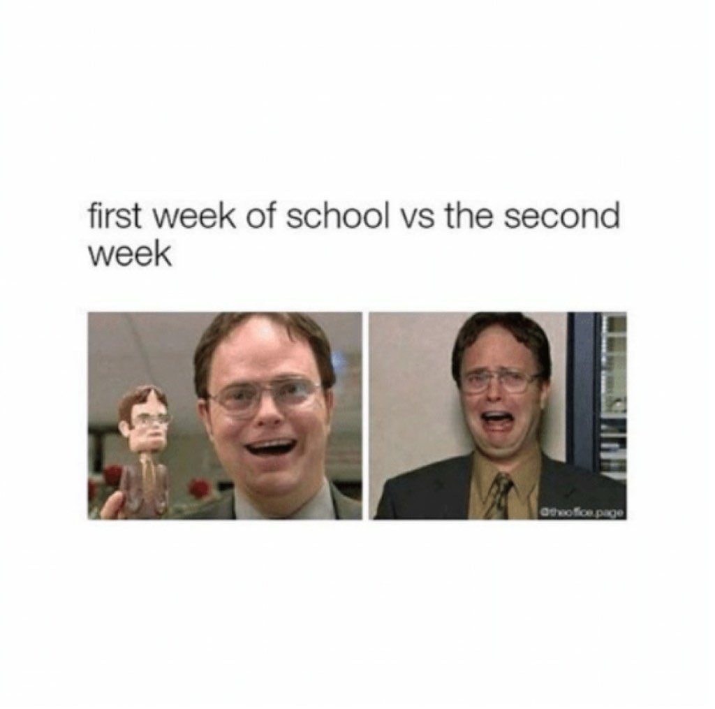 Dwight has it right. Happy summer semester! 🌞 #mememonday