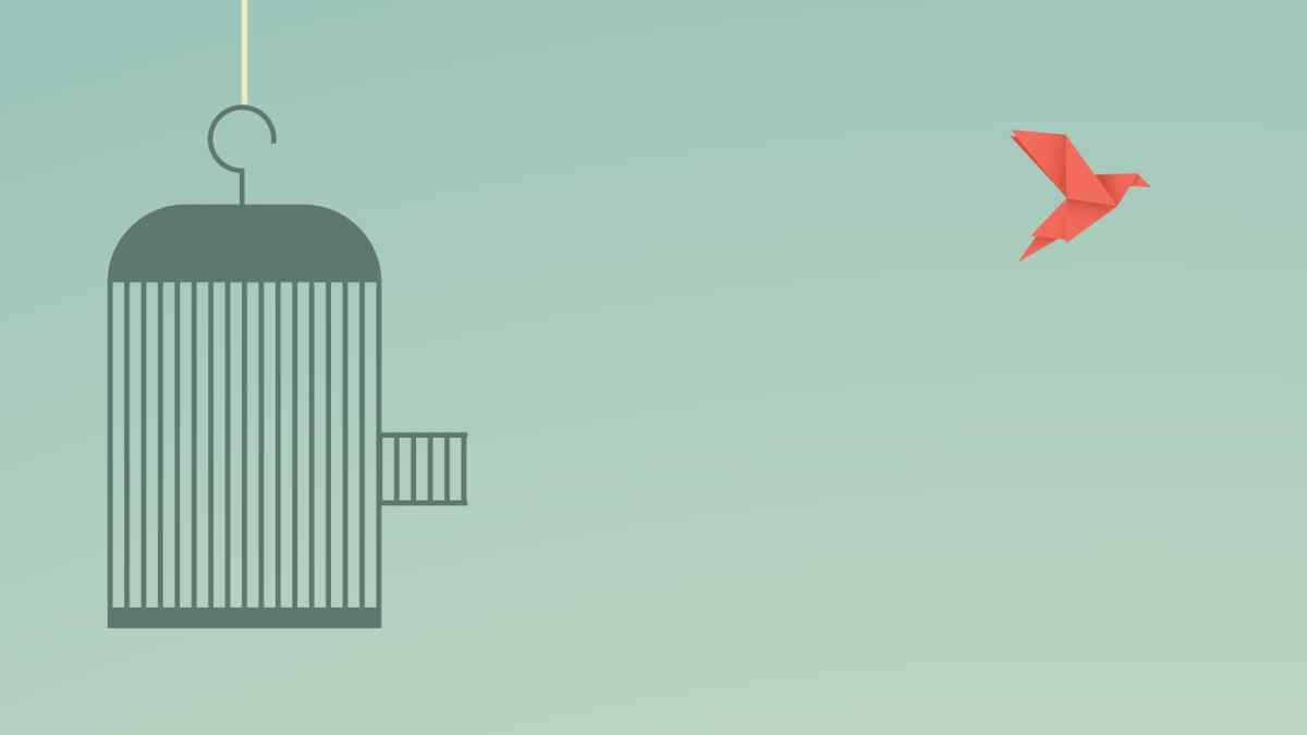 Circadia tweet media