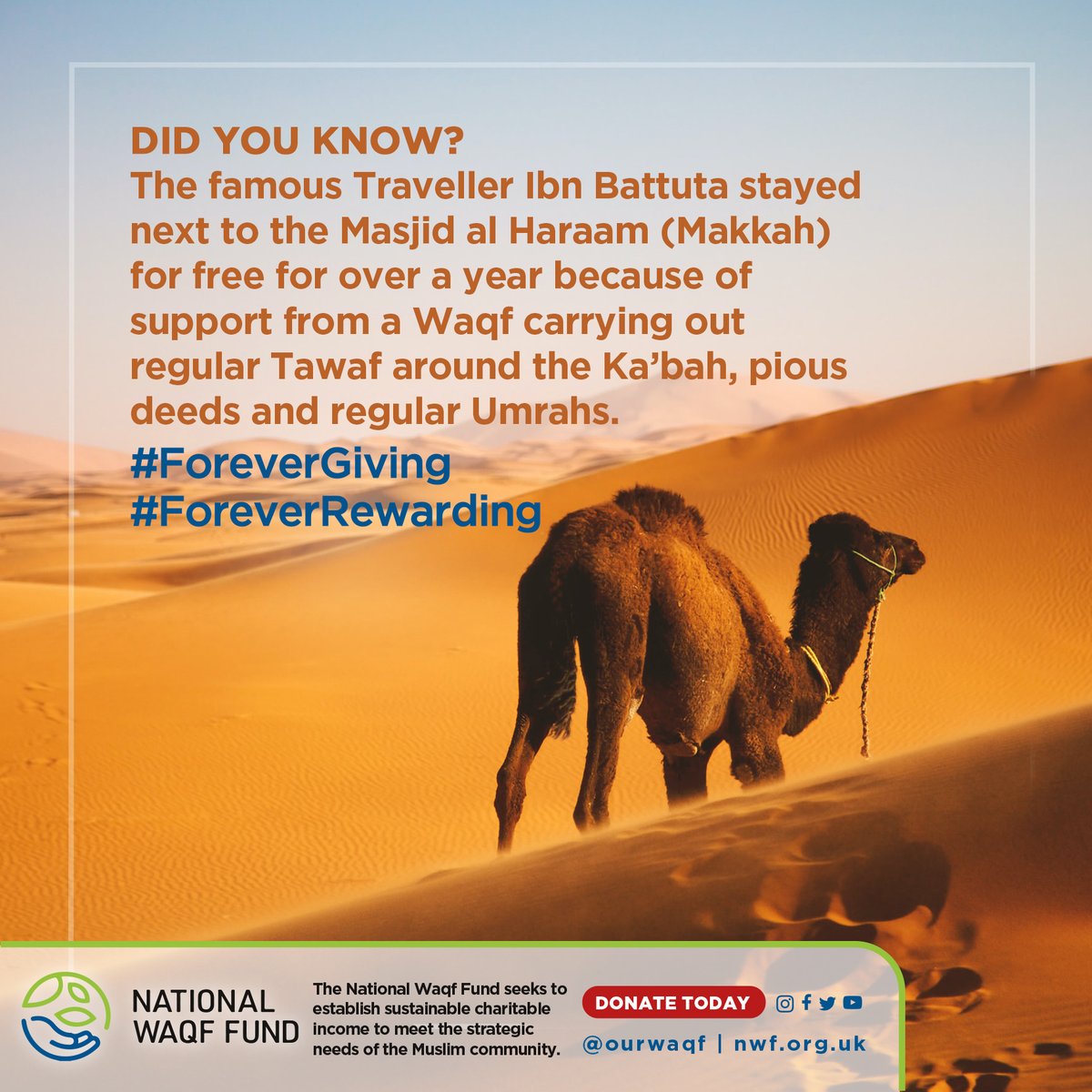 NationalWaqf's tweet photo. In days long ago, a Hajji could reside in #Makkah for months without spending a penny, thanks to the city's Awqaf
Donate now: https://t.co/gzcBHbnyoZ
#OurWaqf #waqf #awqaf #wakf #awkaf #ramadan #donate #islam #sadaqah #IbnBattuta #Traveller #World #Landscape #Desert https://t.co/jsllHKWceE