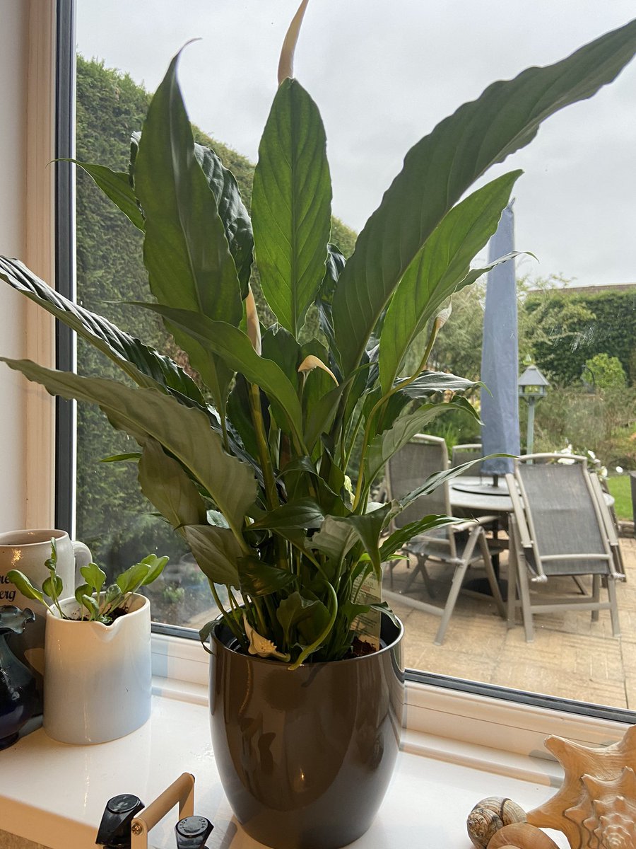 Today arrived for another challenging week &amp; at my office door I was met with a random act of kindness that completely left me overwhelmed by the kindness of a team member #thank you @MFT_SMH #the best people in the world to work alongside <a href="/hm_birds/">hm</a> <a href="/vickiH68/">Victoria Hall</a> <a href="/BevOConnor58/">Bev O'Connor</a>