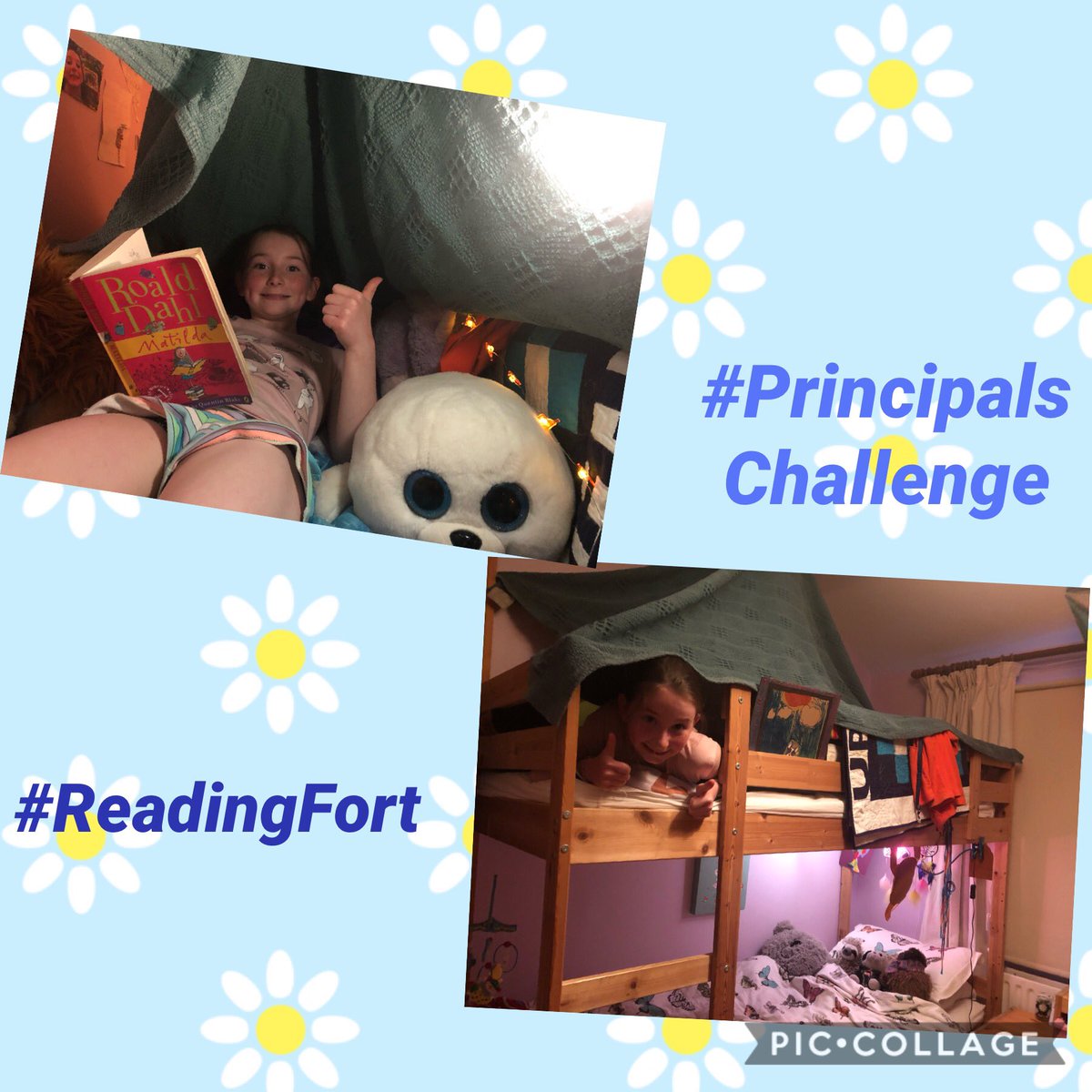 MairinDelaney's tweet photo. @vincent_girls Lola from Room 27 loving her #readingfort. I may never see her again 😁 #PrincipalsChallenge https://t.co/YgDmmlnIU1