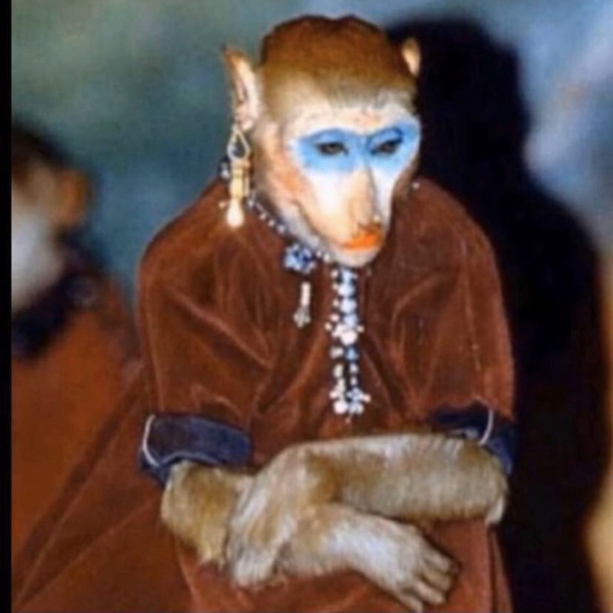 #فريق_البنات #ابو_قحطَ 
اشكال العيال الي مسوين لايك عند مرزوقه :