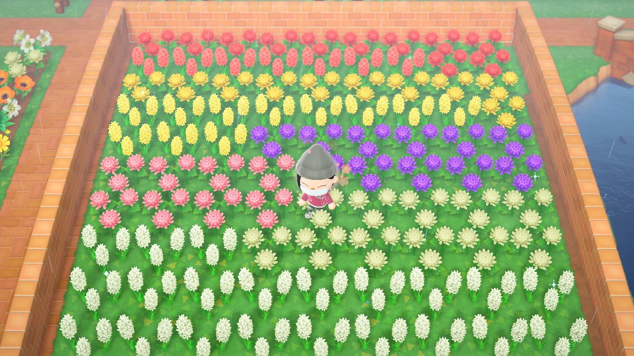 Mayor of Pretzisle on Twitter "Selling mums, hyacinths, & a few diys