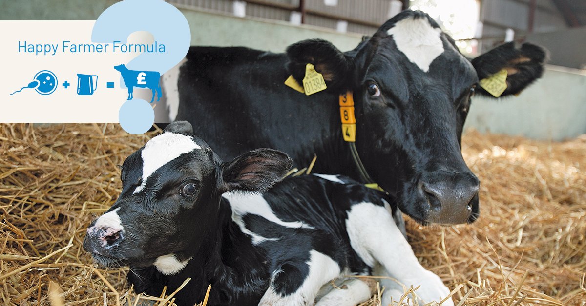 British Dairying tweet media