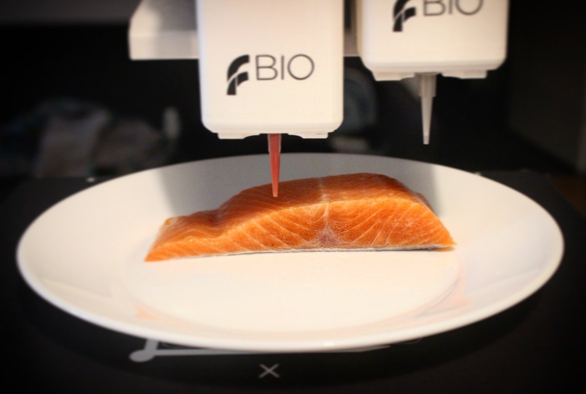 RevoFoods's tweet photo. Our vision: Fish, 100% made from plants. 🌱🐟
#plantbased #fish #nofish #vegan #savetheocean #legendary #startup #3Dprinting #3Dfoodprinting #thefuture  #climatechange #revolution https://t.co/lnSD5Ari28