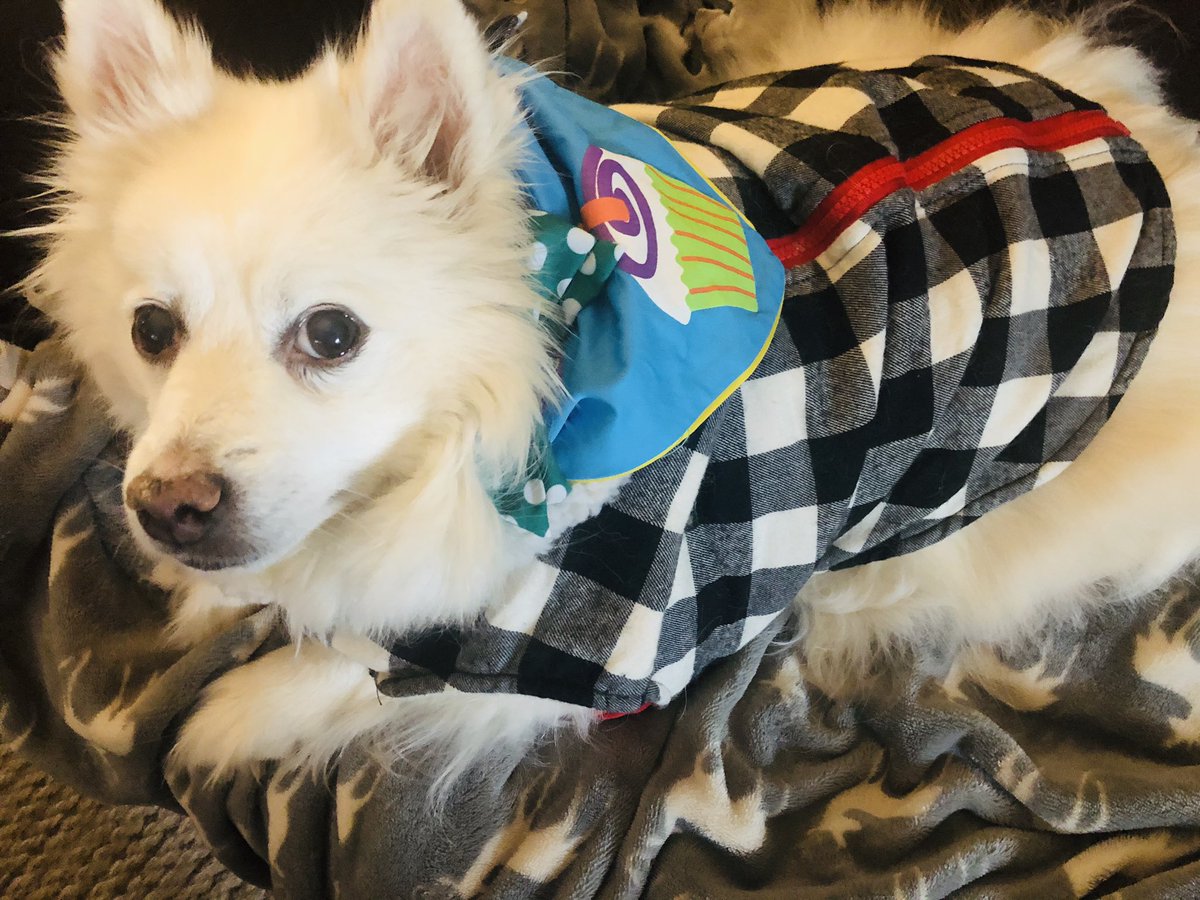 Mismatch Monday! Jackson didn’t like his outfit very much. #virtualspiritweek #itBravesHaveSpirit