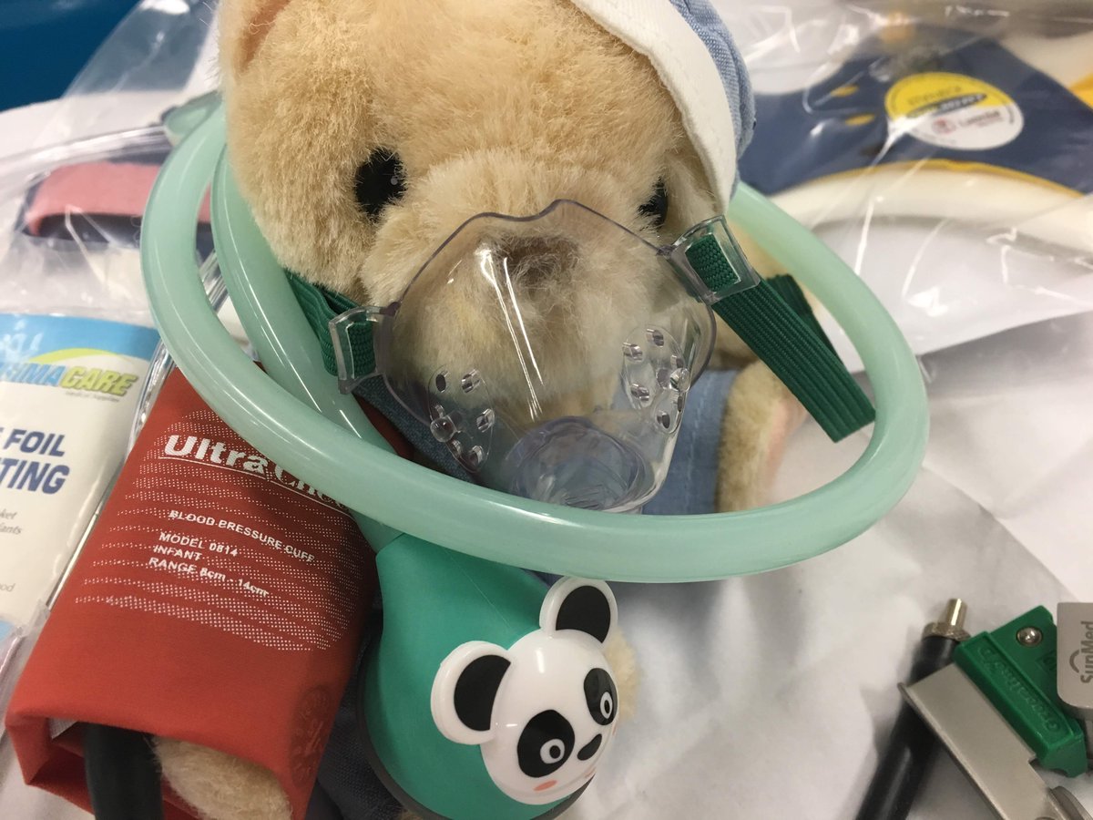 He is a brave and courageous Bear.  He endures hours of training!