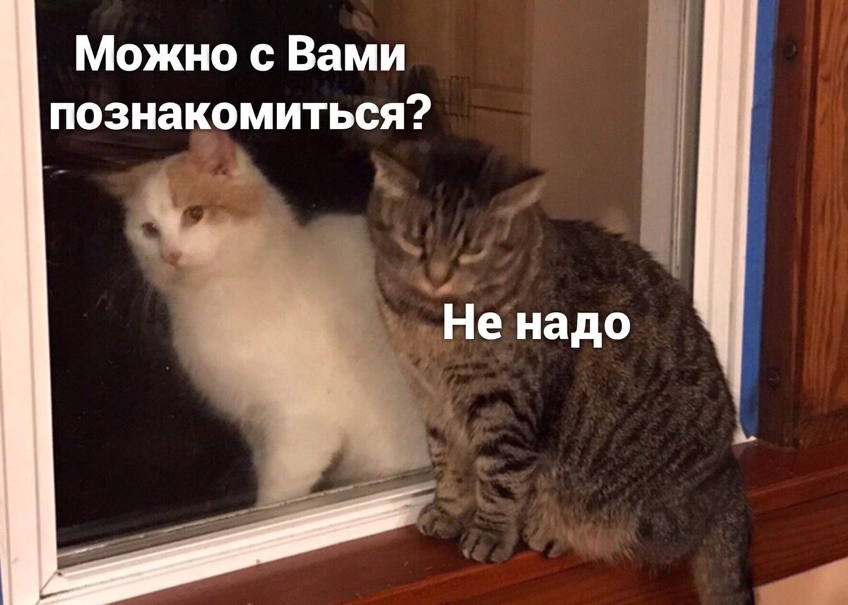 mutno's tweet photo. :( https://t.co/2fvk4tFVyj