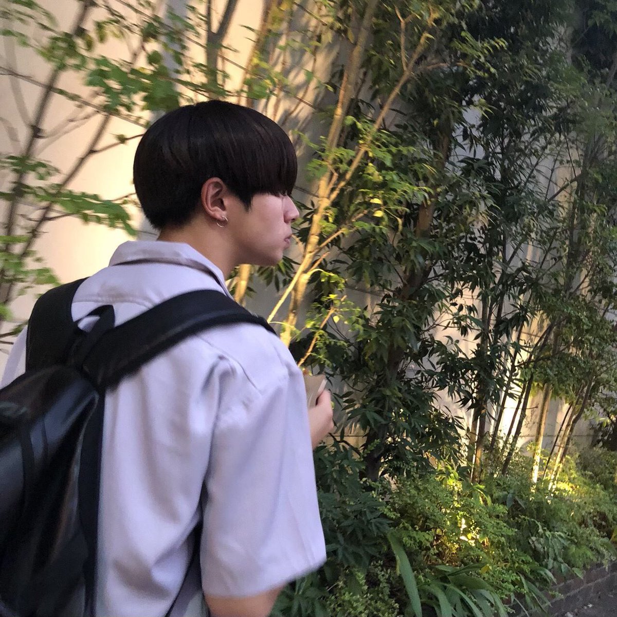 아란 tweet media