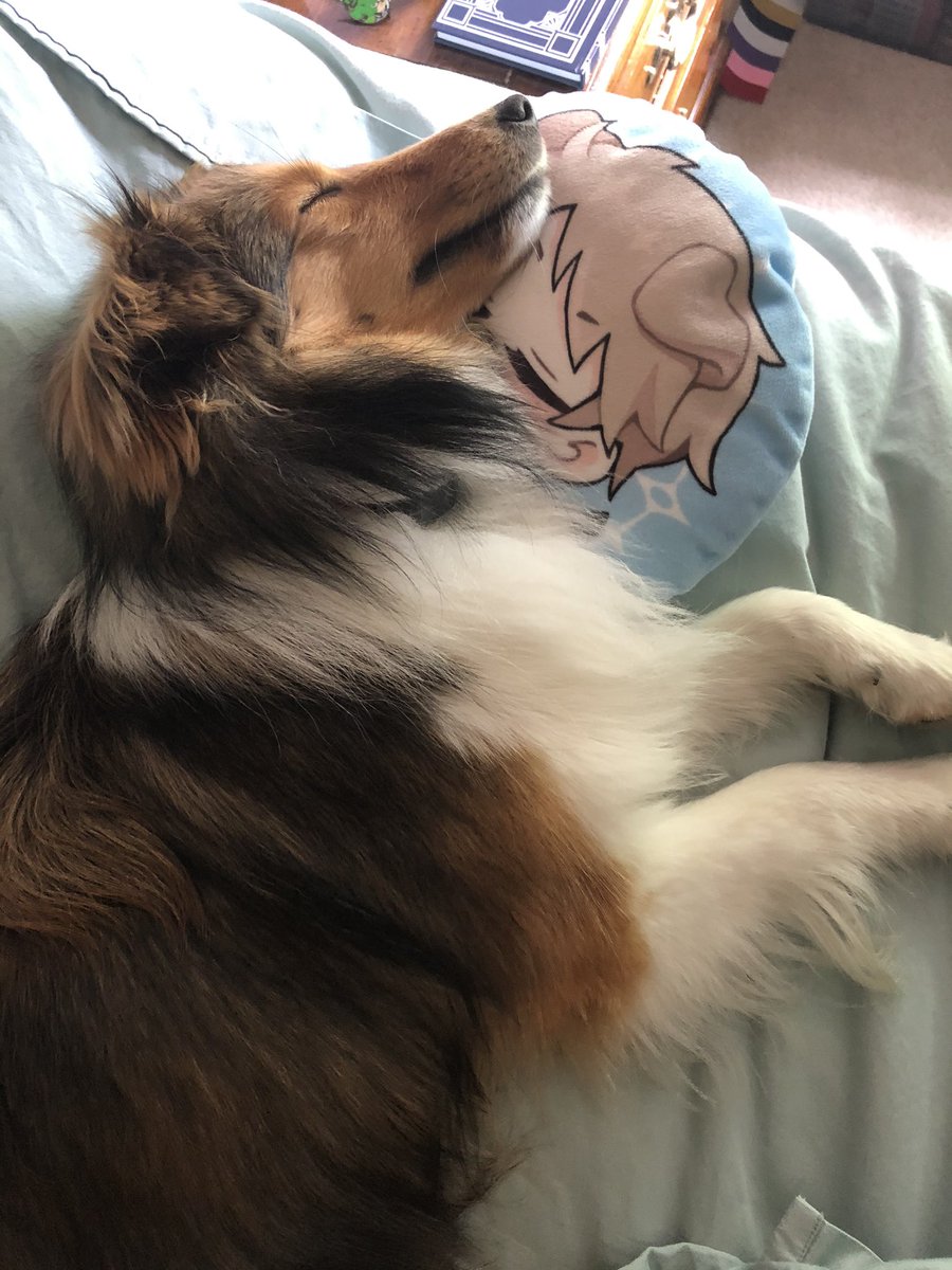 Callie is asleep on Elliot pillow