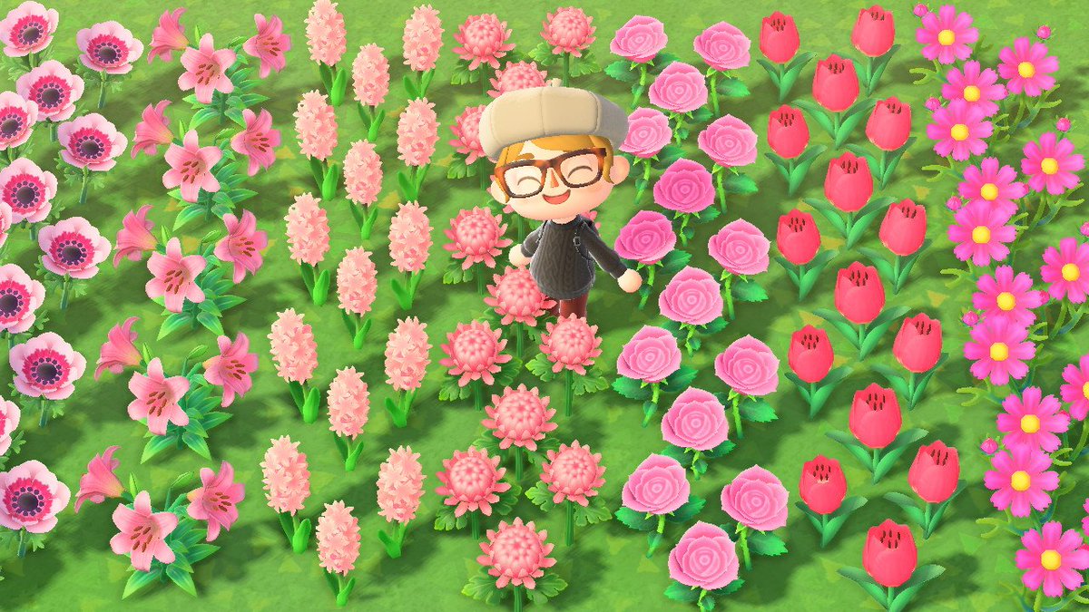 acnh_olivia's tweet photo. GIVEAWAY!🌷
I've been working hard on my hybrids, and now it's time to share my good luck! Winner will receive 5 of each type of pink flower in the game. 

Rules for Entry:
1. Follow me @acnh_olivia 
2. Like &amp; RT this post

#acnh #AnimalCrossingNewHorizons #giveaway #ACNHgiveaway https://t.co/Uz7QJFglQk