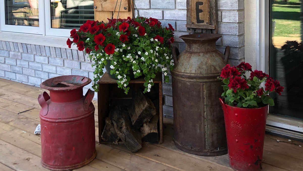 Create the Perfect Welcome Spot⁣
⁣
Brenneis Greenhouses still has a variety of hanging baskets available! ⁣
⁣
Assortment of colors, recipes and pot sizes! Visit the greenhouses today to select the hanging basket that is sure to grab attention!

#YegGardens #ShopLocalYeg #YEG
