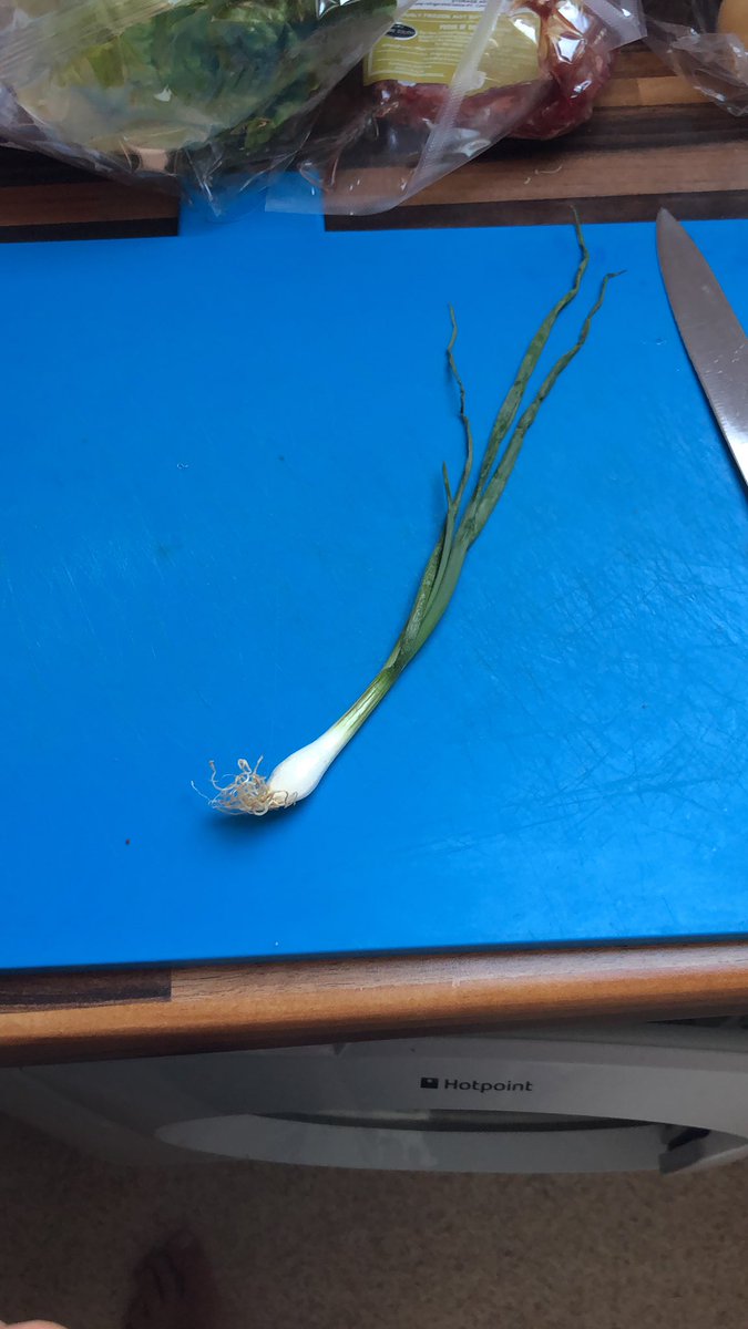 nlb1980's tweet photo. @HelloFreshUK this was the spring onion delivered two days ago... it’s one of the main ingredients, I’m not sure we’ll even taste it!! https://t.co/eVeZp5CpvS