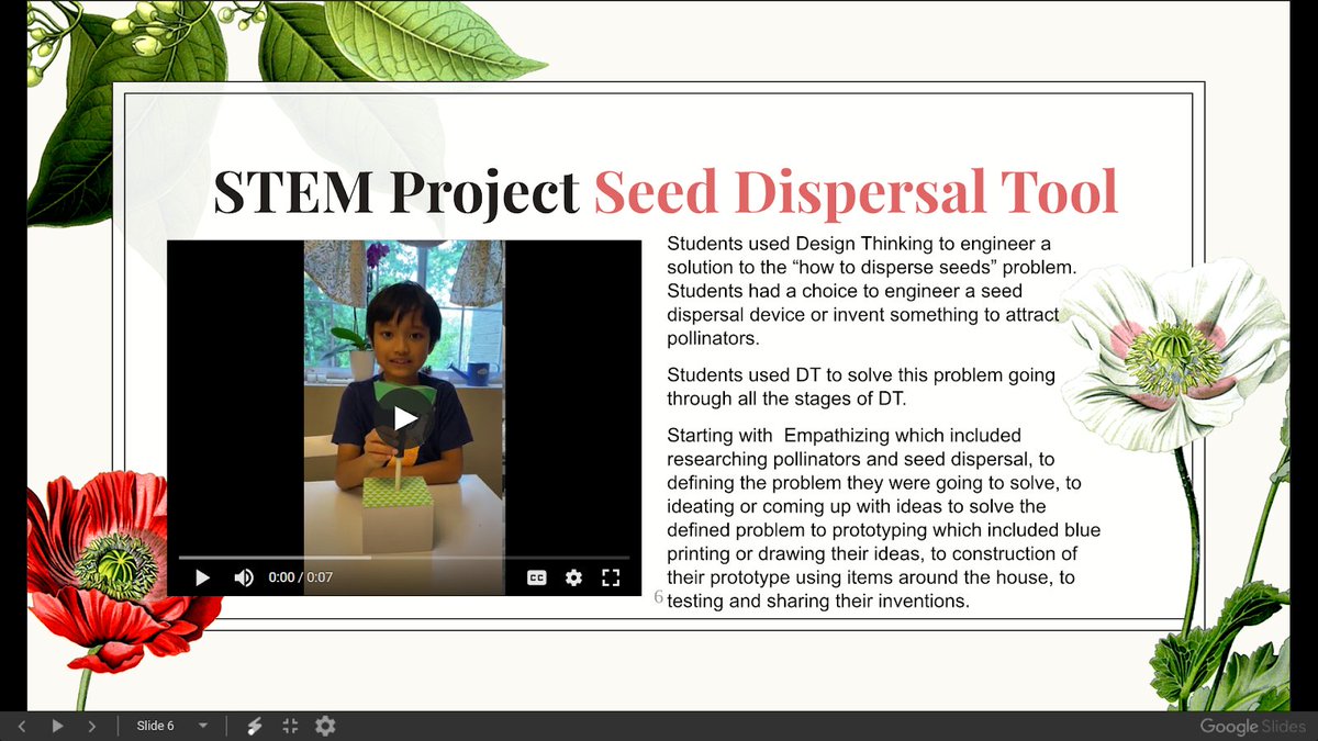 Amana Academy North Fulton tweet media