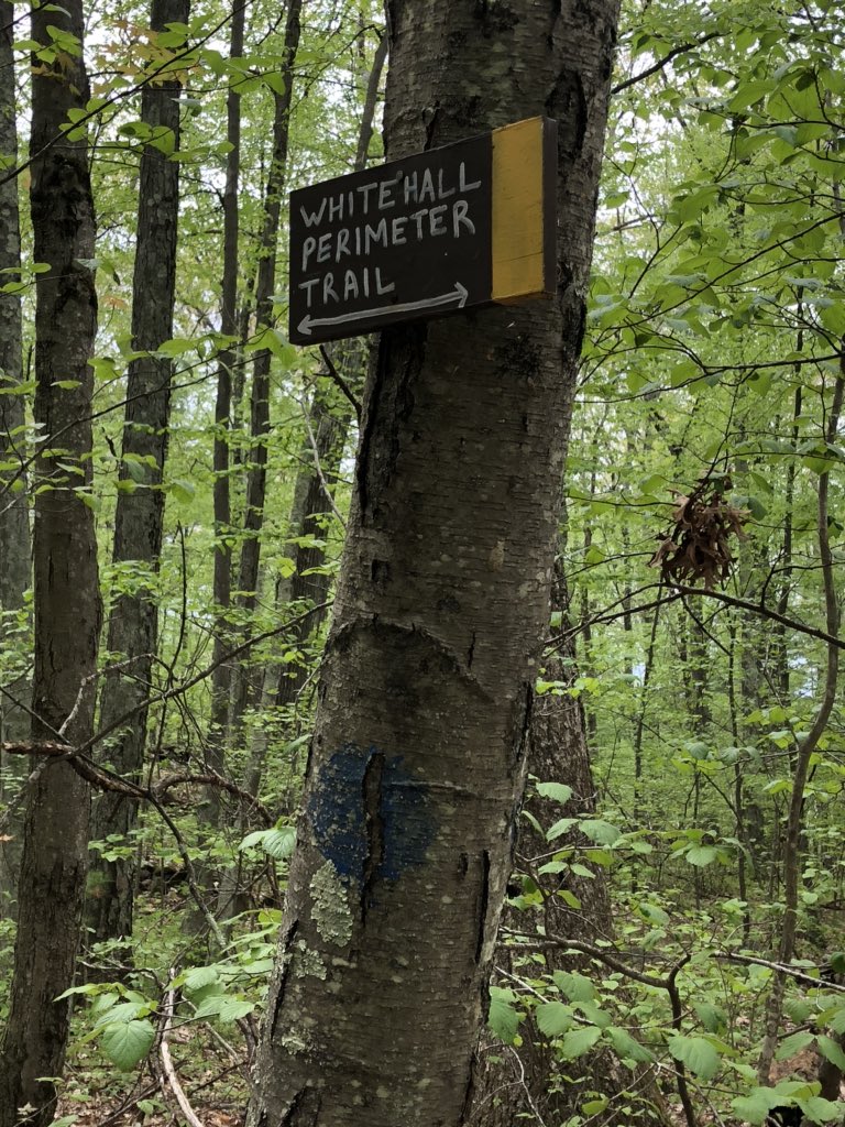 sasysquatchgirl's tweet photo. Finally a sign...Whitehall? Awesome!
#imfound #longway #nature #outdoors #squatching https://t.co/WNlqXOlRFV