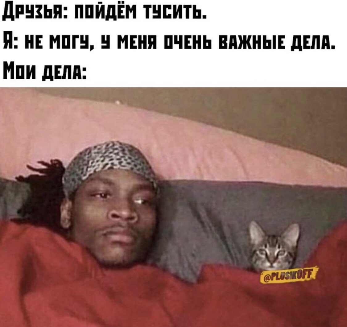 mura_count's tweet photo. @llen_lu отрываю от сердца любимые картиночки и мемасы с котеками https://t.co/xb0S1lYgX2