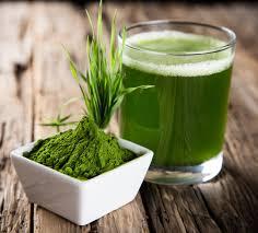 teaveliwellness's tweet photo. #TrueOrFalse : Barley Grass contains many vitamins and minerals, but no protein or essential amino acids. Comment below what you think and we will answer tomorrow!
.
.
. 
#Teaveli #Organic #Vegan #Superfoods #HealingHerbs #HealthandWellness #HealthyLifestyle #Health https://t.co/AAjlJcibWu