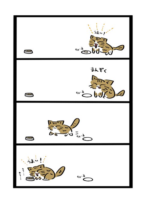 うちのねこ 