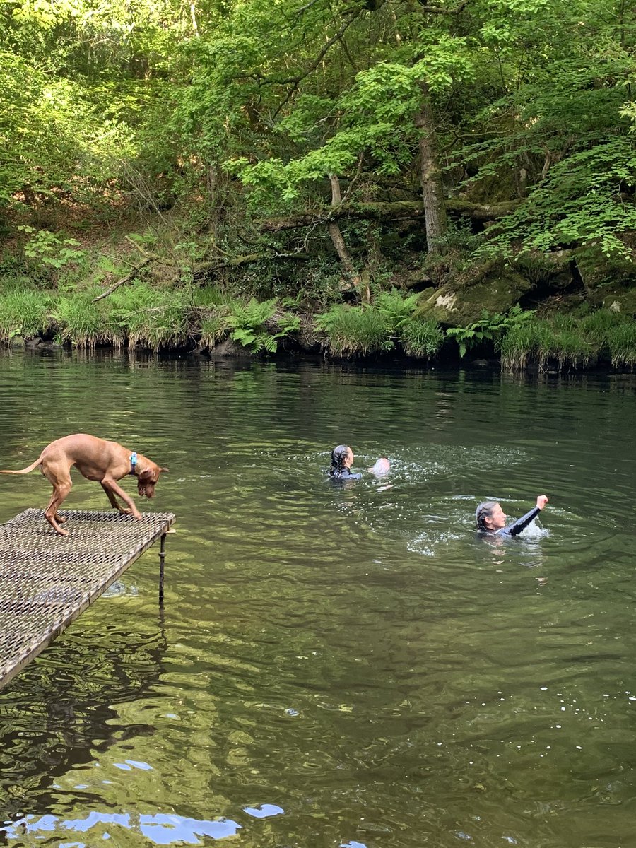 Rob_Gofton's tweet photo. Everyone should read this!

My girls have just been swimming in the river on a nice hot afternoon.

They had winter wetsuits and boots and it was still cold getting in. Without the right kit and knowledge, water can catch you out, especially on a hot day.

Enjoy water safely https://t.co/fVKtKtueG6