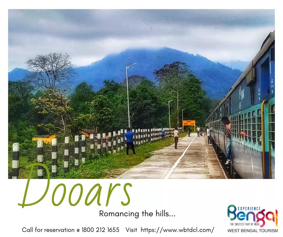 #experiencebengal #travelbengal #tourismbengal #stayinbengal #beautifulbengal #gobengal #bengalbeckons #wbtdcl #dooars #wbtdc