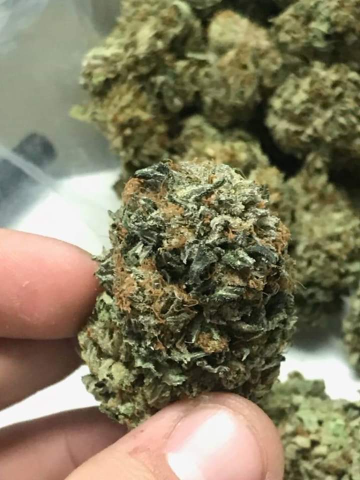 JacobRocker5's tweet image. Hey fellas I'm back.'' 🔥 loud stuff