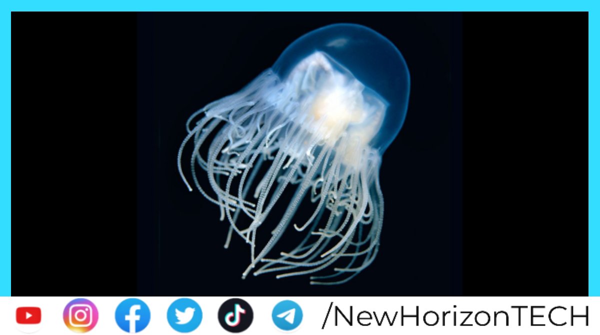 NewHorizonTECH's tweet image. JELLY BOATS ARE OCEAN EXPLORING BIO-HYBRID ROBOTS MADE OUT OF
JELLYFISH.

#JellyBots #BioHybridRobot #JellyFish 
#NewHorizonTECH