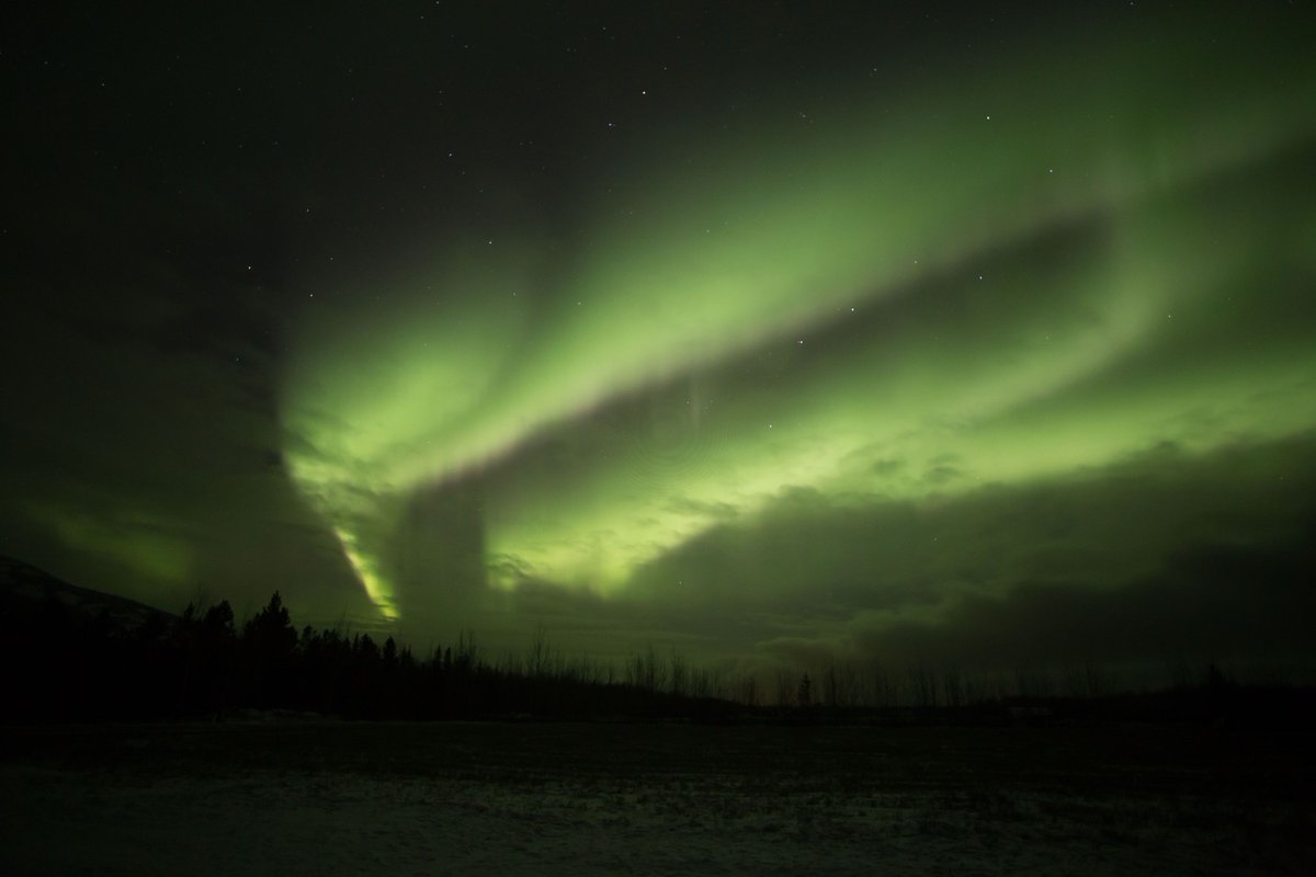 Monday inspiration! #northernlights #auroraborealis #ExploreYukon