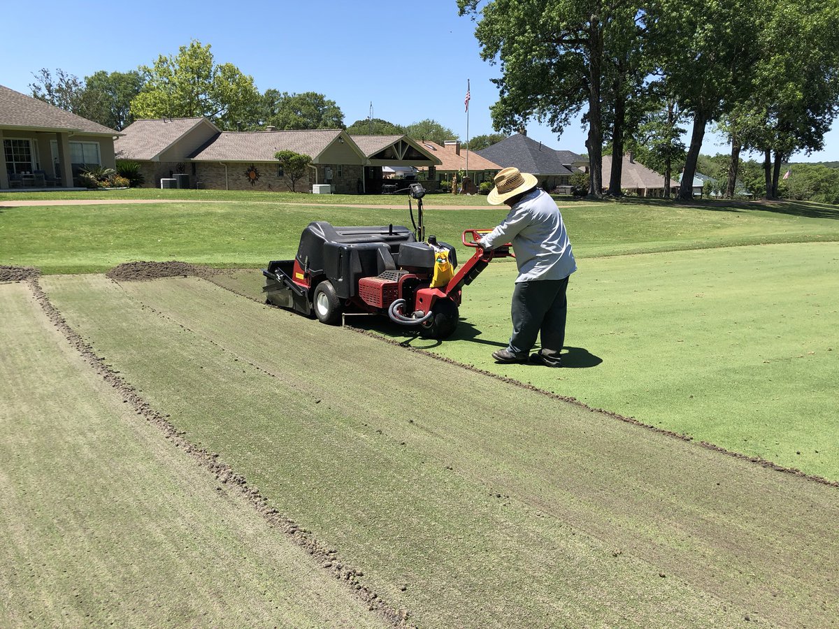 Today is the Holeyist of days.  These greens are saying thank you very much!