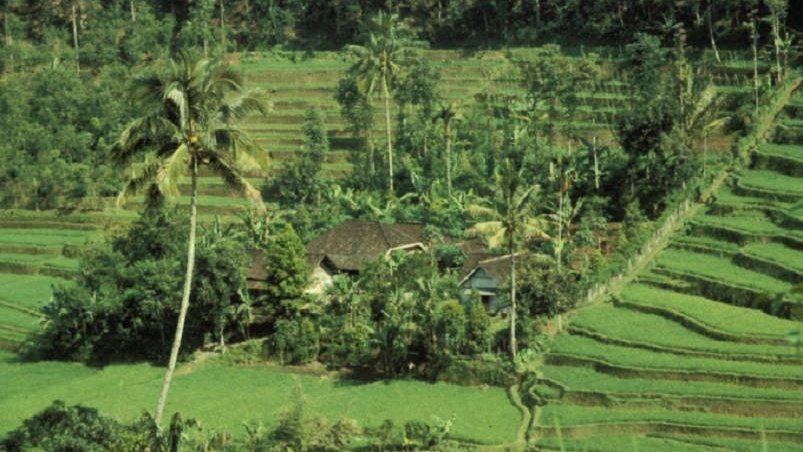 The Kandyan home gardenIn Sri Lanka, home gardens have been identiﬁed as an integral part of the landscape and culture for centuries. Kandyan home garden is deﬁned, based on the historical Kandyan Kingdom.  #BiodiversityDay  #history  #SriLanka  #TraditionalKnowledge  @GYBN_CBD