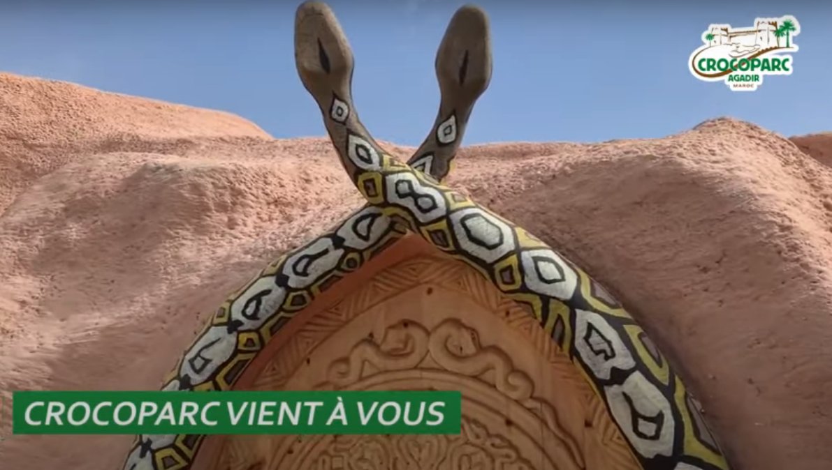 CROCOPARC's tweet photo. Présentation de la vie des Pythons réticulés à Crocoparc.
Envie d'en savoir un peu plus sur la vie de ce géants ?https://t.co/NZjJB0JktK via @YouTube 

#Python #Anaconda #Snake https://t.co/q94ZBB4MiY