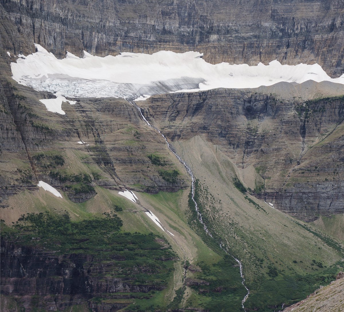 Out today in <a href="/PNASNews/">PNASNews</a>! Our new study shows persistence of specialized biodiversity in high-elevation streams despite widespread glacier and habitat loss in <a href="/GlacierNPS/">Glacier National Park</a> since the Little Ice Age with <a href="/timothyjcline/">Tim Cline</a>, <a href="/joegiersch/">jgiersch</a>, <a href="/MtnScience/">Scott Hotaling</a>, and others: pnas.org/content/early/…