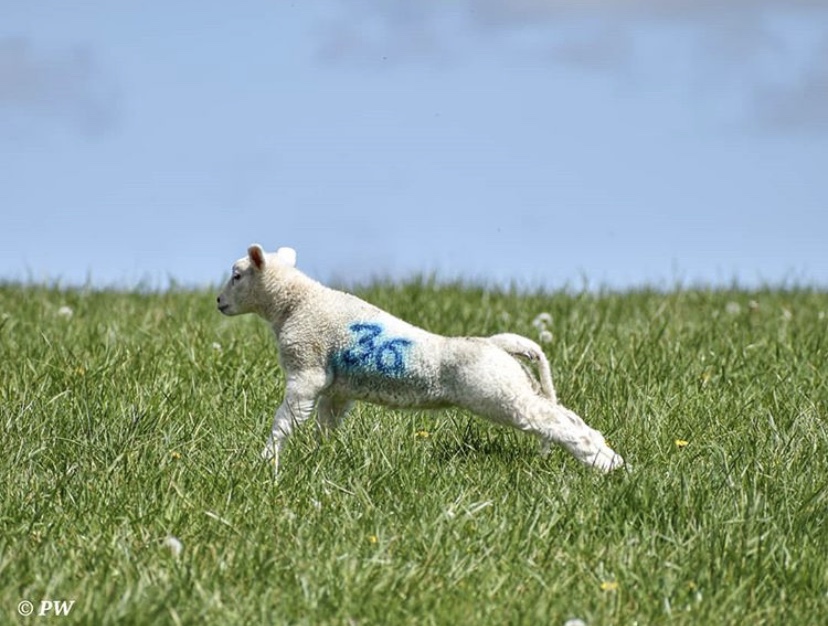 Laverstoke photo