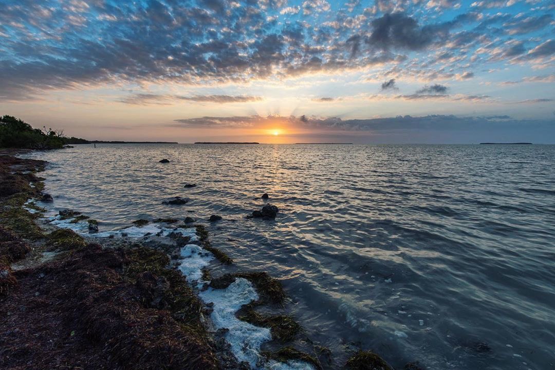 Everglades National Park tweet media