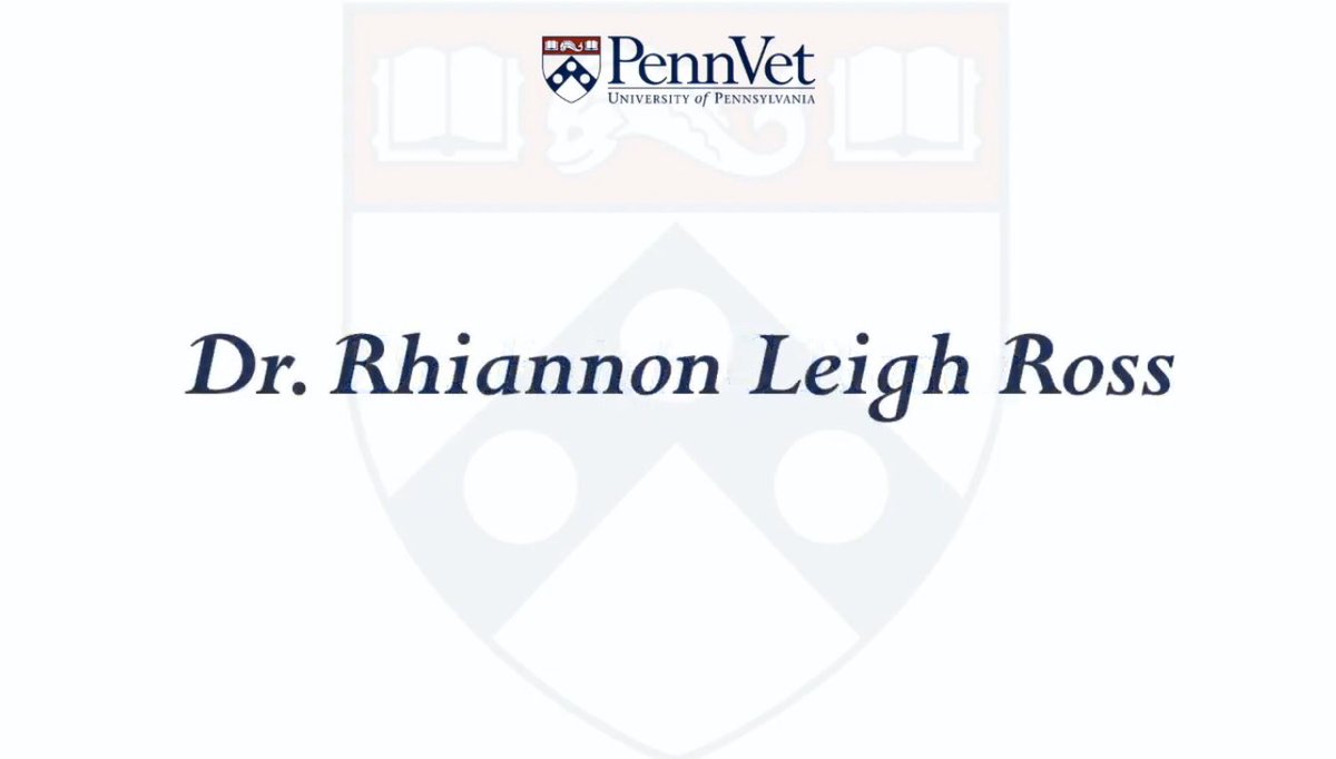 Lily_Boe's tweet photo. Congratulations to every #PennGrad today! And special congrats to the world’s newest veterinarian, Dr. Rhiannon Ross, who has been my dear friend for 12 years and my roommate for the last 3. I am SO proud of you today and always @RhiLeighStoked! @PennVet #ClassOf2020 https://t.co/mmfxn85Hms