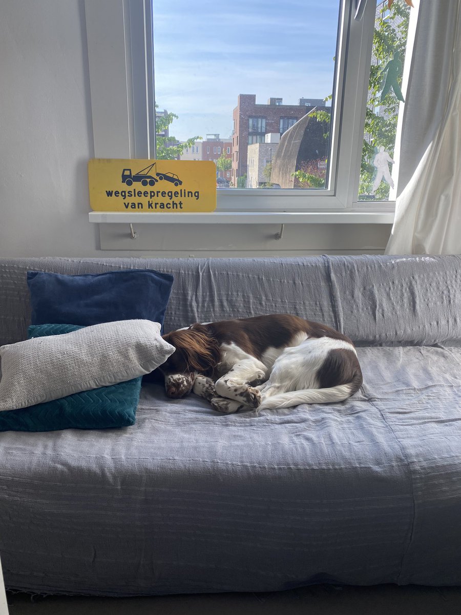 Day 6/7 of my life in pictures. No explanation, no people (only pets). Challenge someone each day. I was challenged by <a href="/inamienie/">Ina Dijkman</a> Today I challenge @ReemWeda