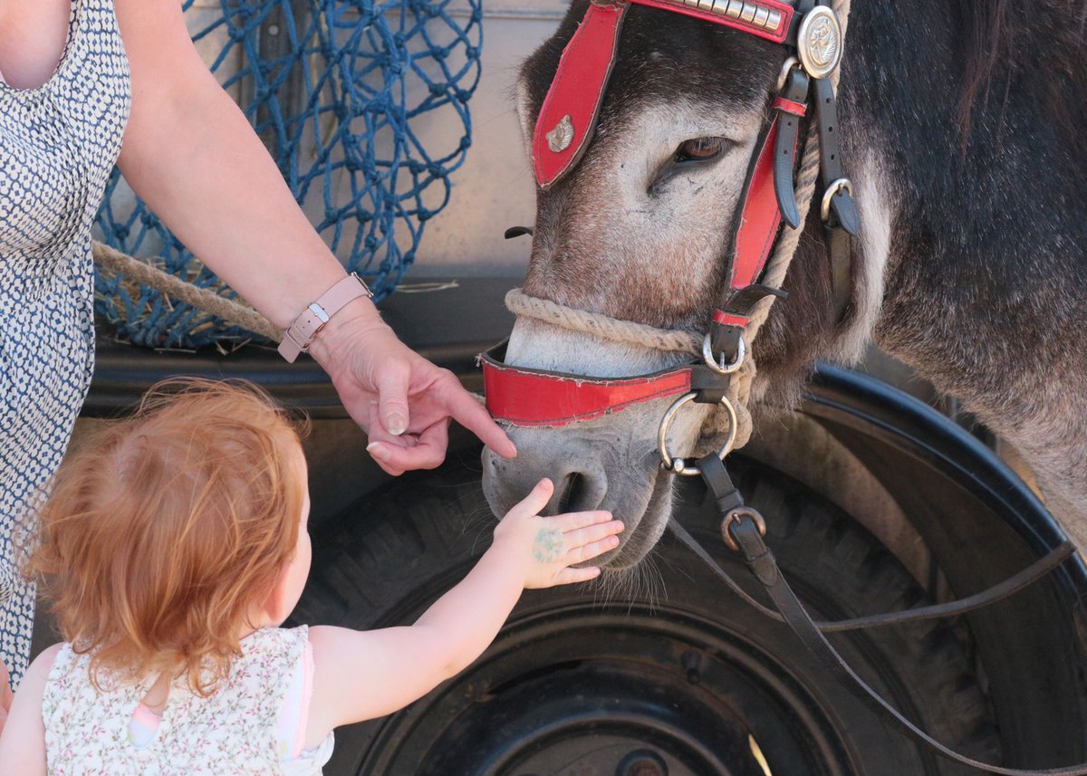 AnimalsRMagic2's tweet image. Sadly we’ve had to take the difficult decision to cancel Animals R Magic 2020. It’s very much an interactive event, so we feel that this is the only feasible course of action. Please save the date for next year: Sunday 18th July 2021!