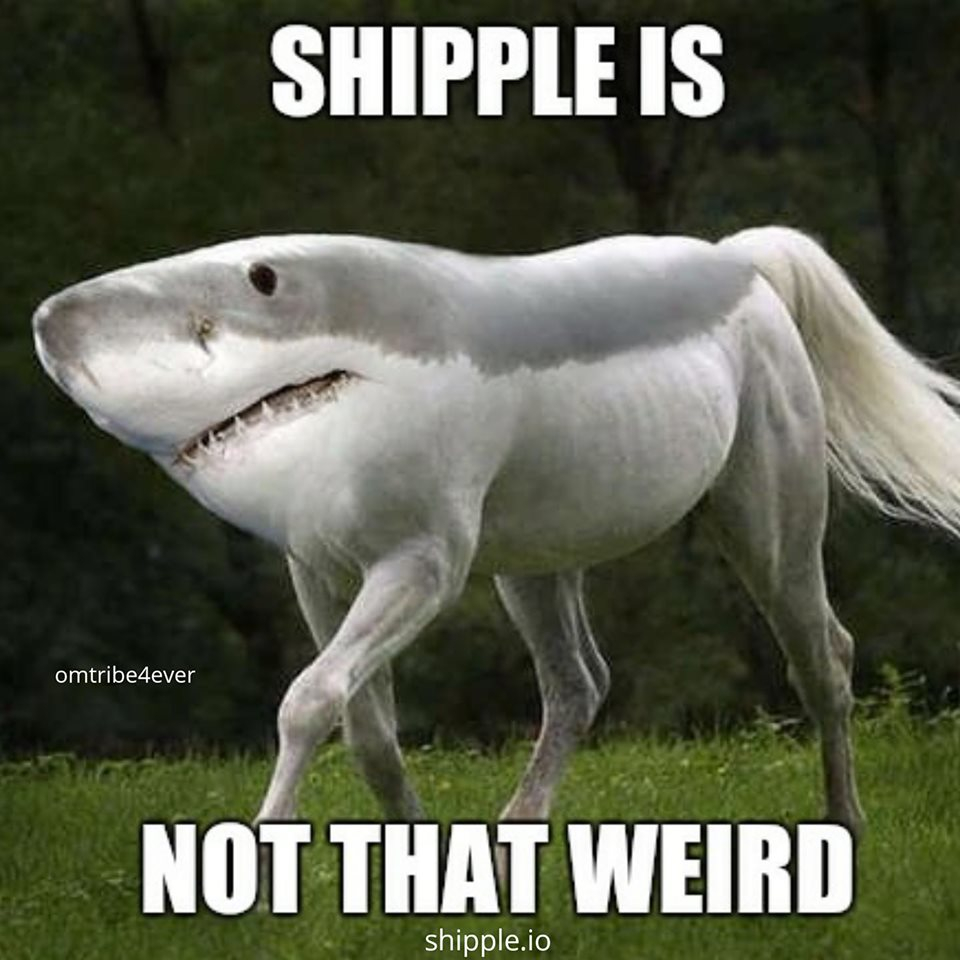 Shippleio's tweet photo. #shipple https://t.co/31Gwh2NmgK
